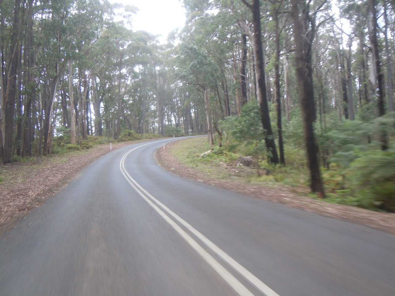 DSCN3969.jpg