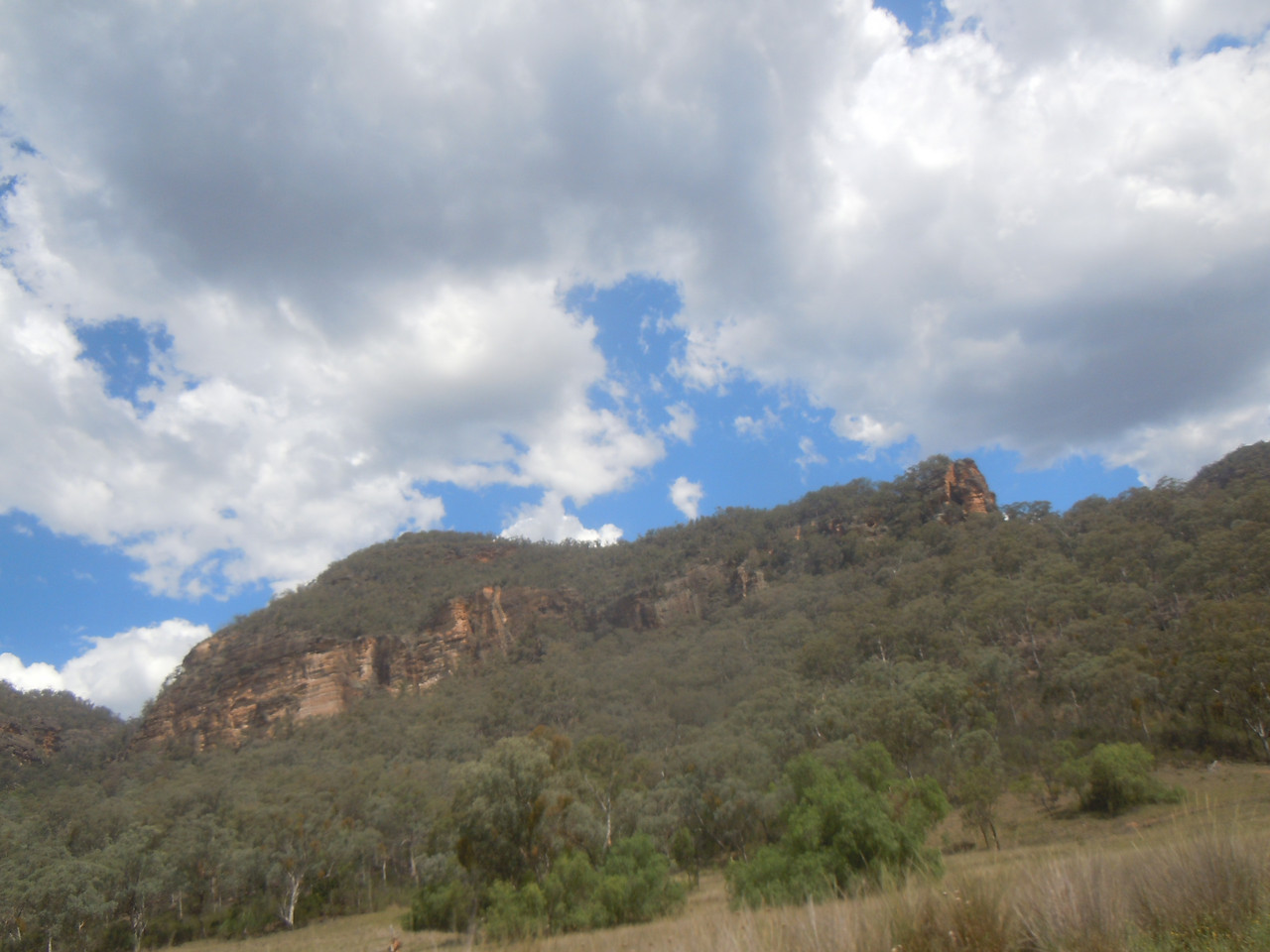 DSCN3920.jpg