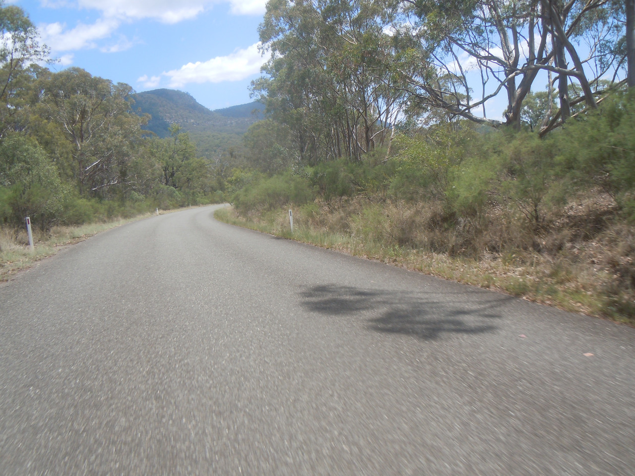 DSCN3895.jpg