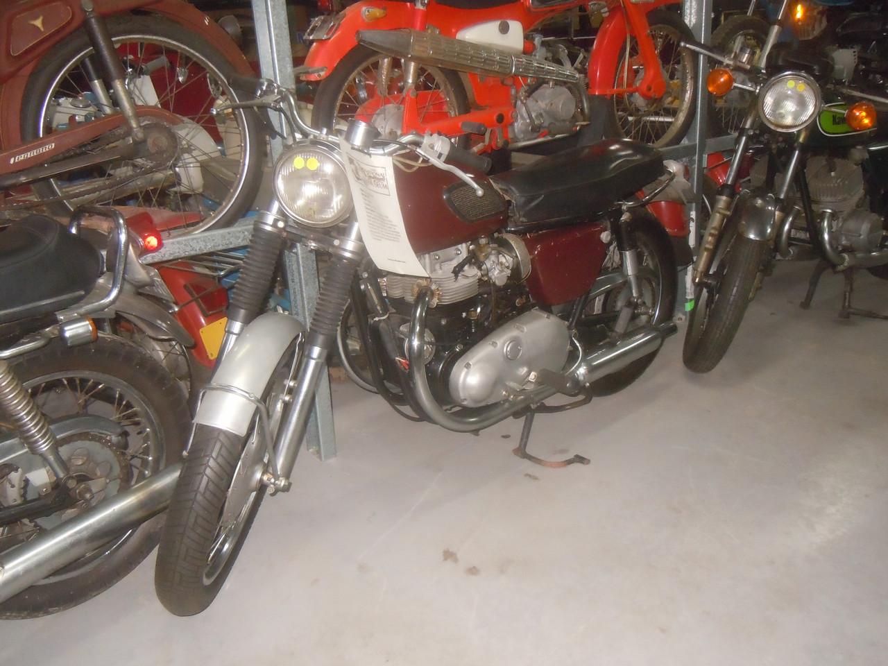 DSCN4184.jpg