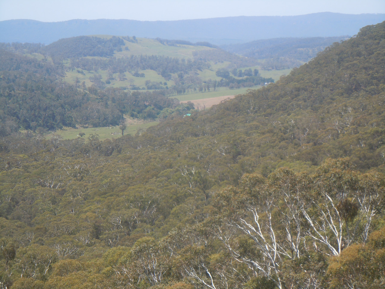 DSCN4097.jpg