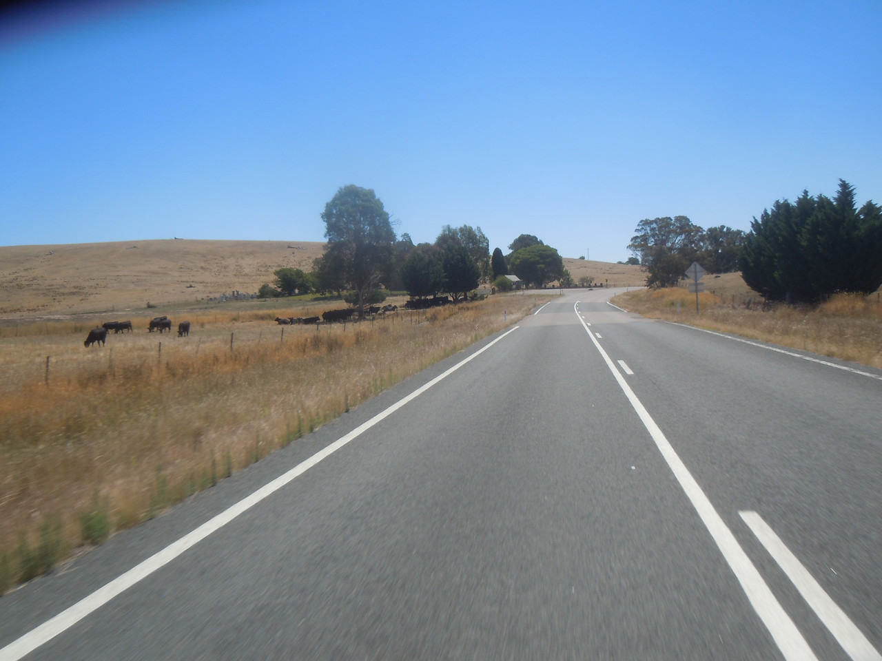 DSCN3936.jpg