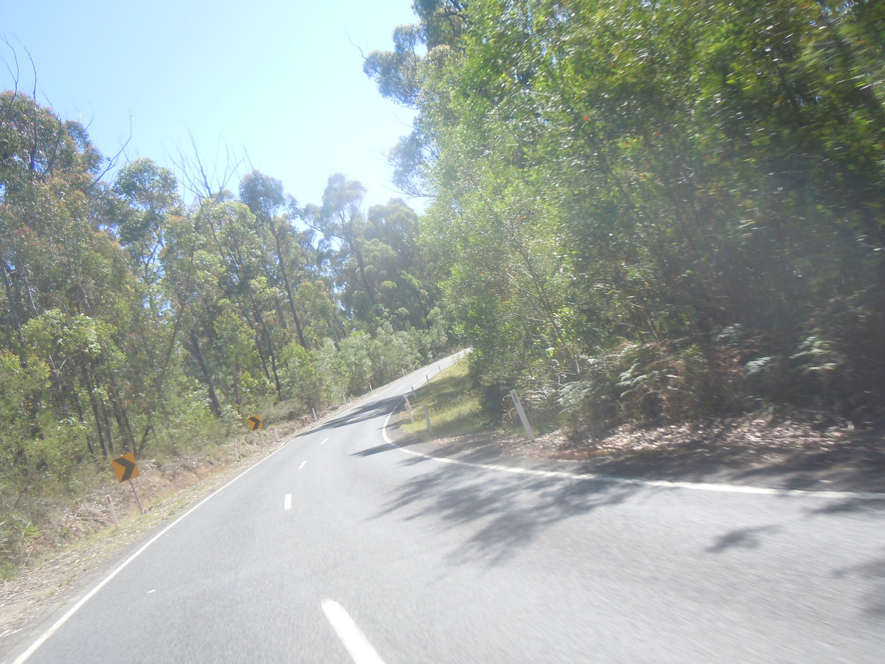 DSCN4006.jpg
