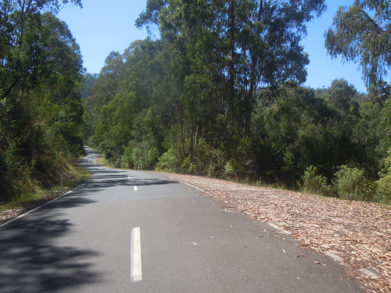 DSCN4009.jpg