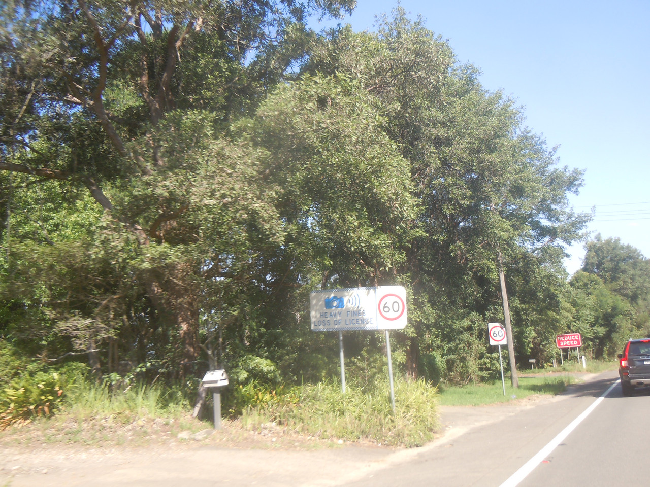 DSCN4105.jpg