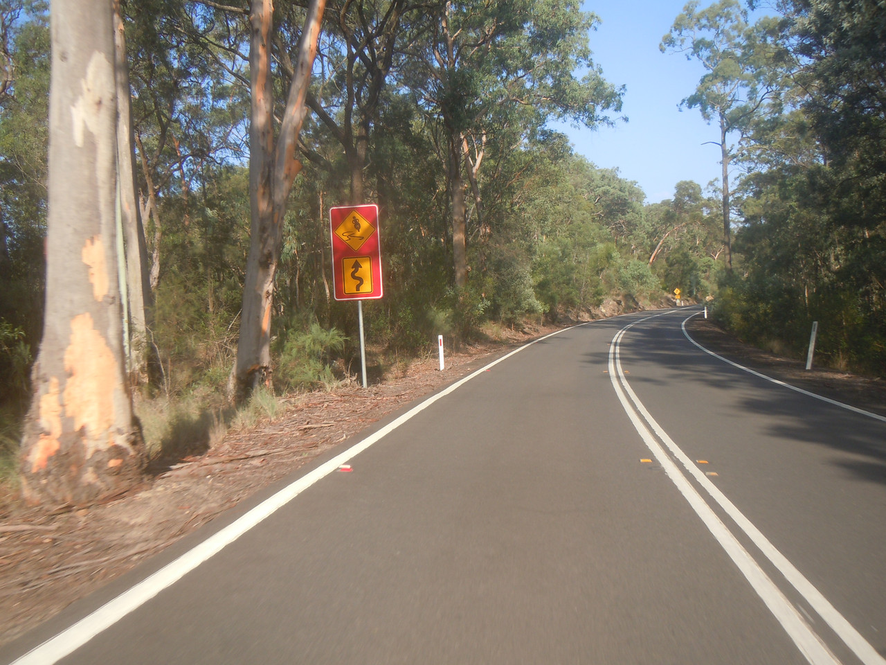 DSCN4118.jpg