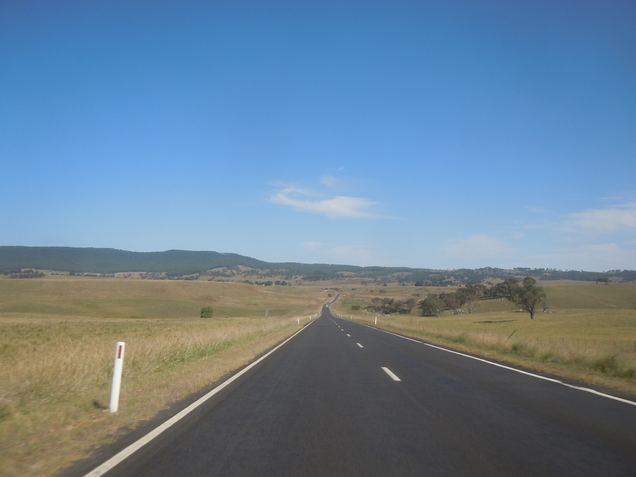DSCN4214.jpg