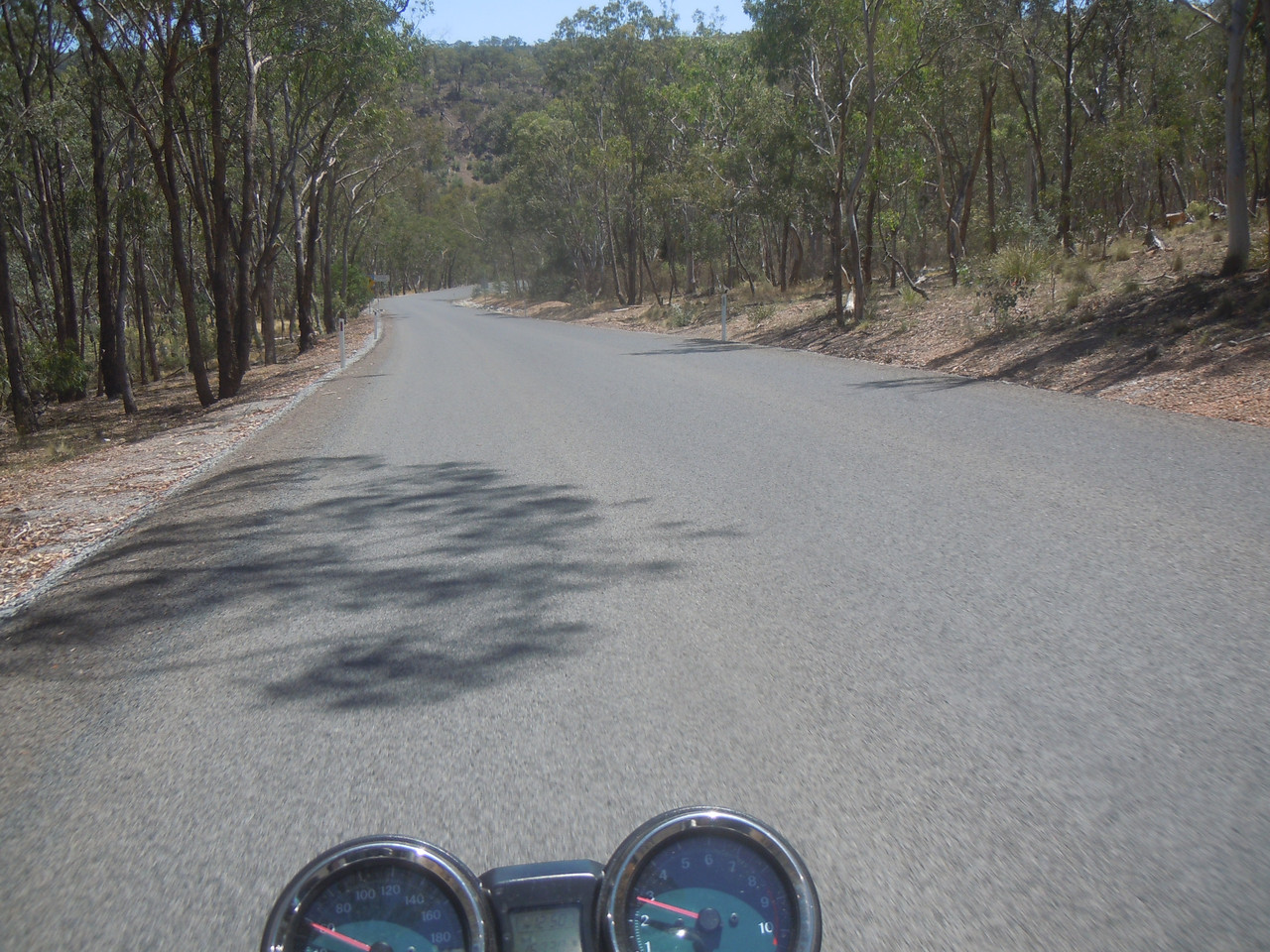 DSCN4086.jpg