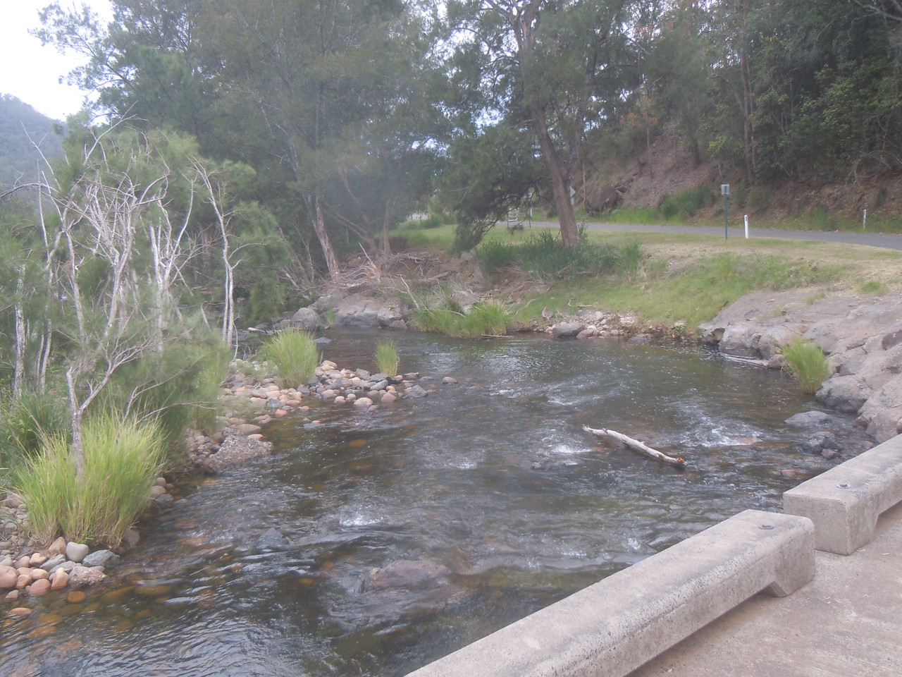 DSCN4206.jpg