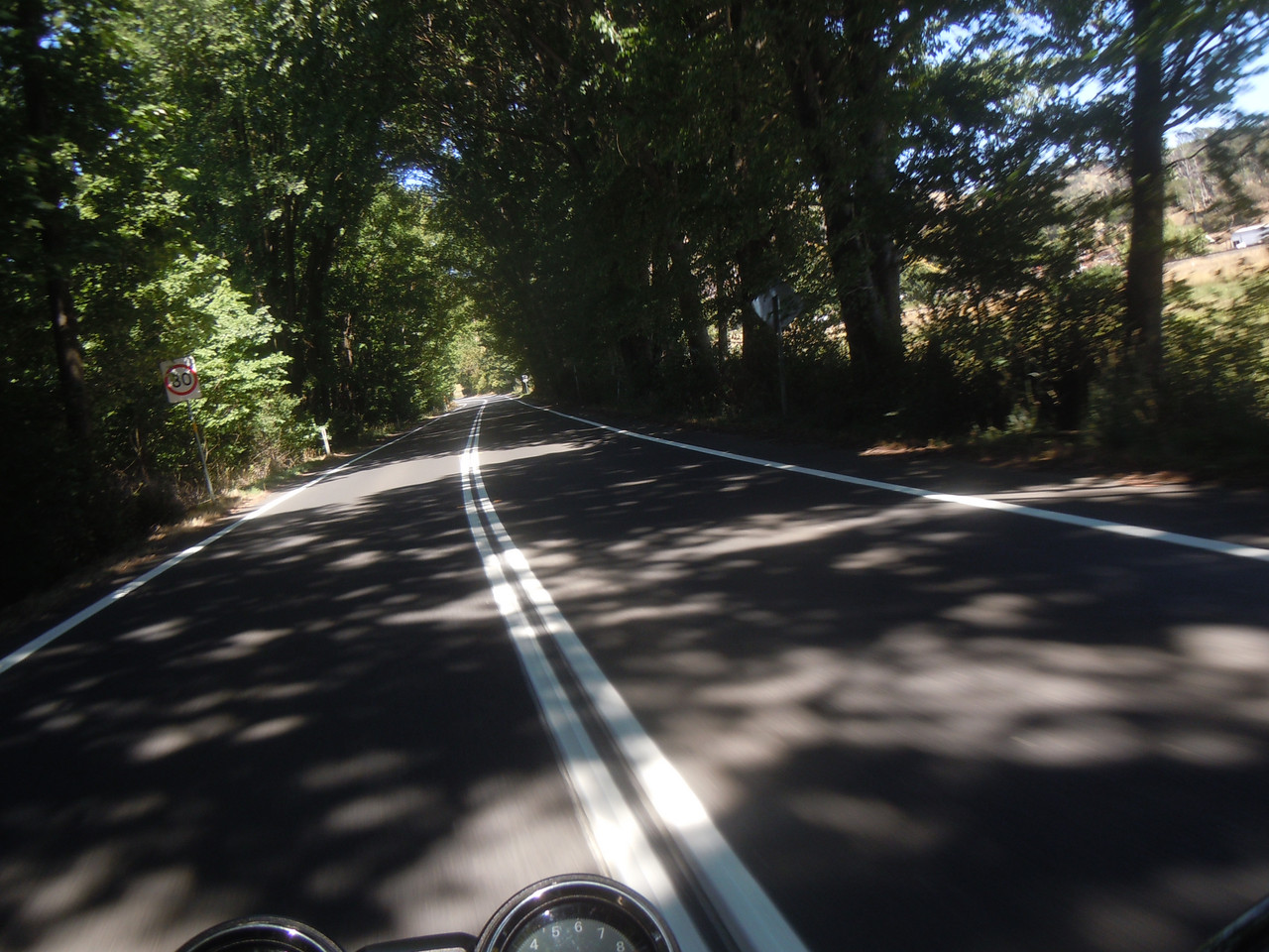 DSCN3930.jpg