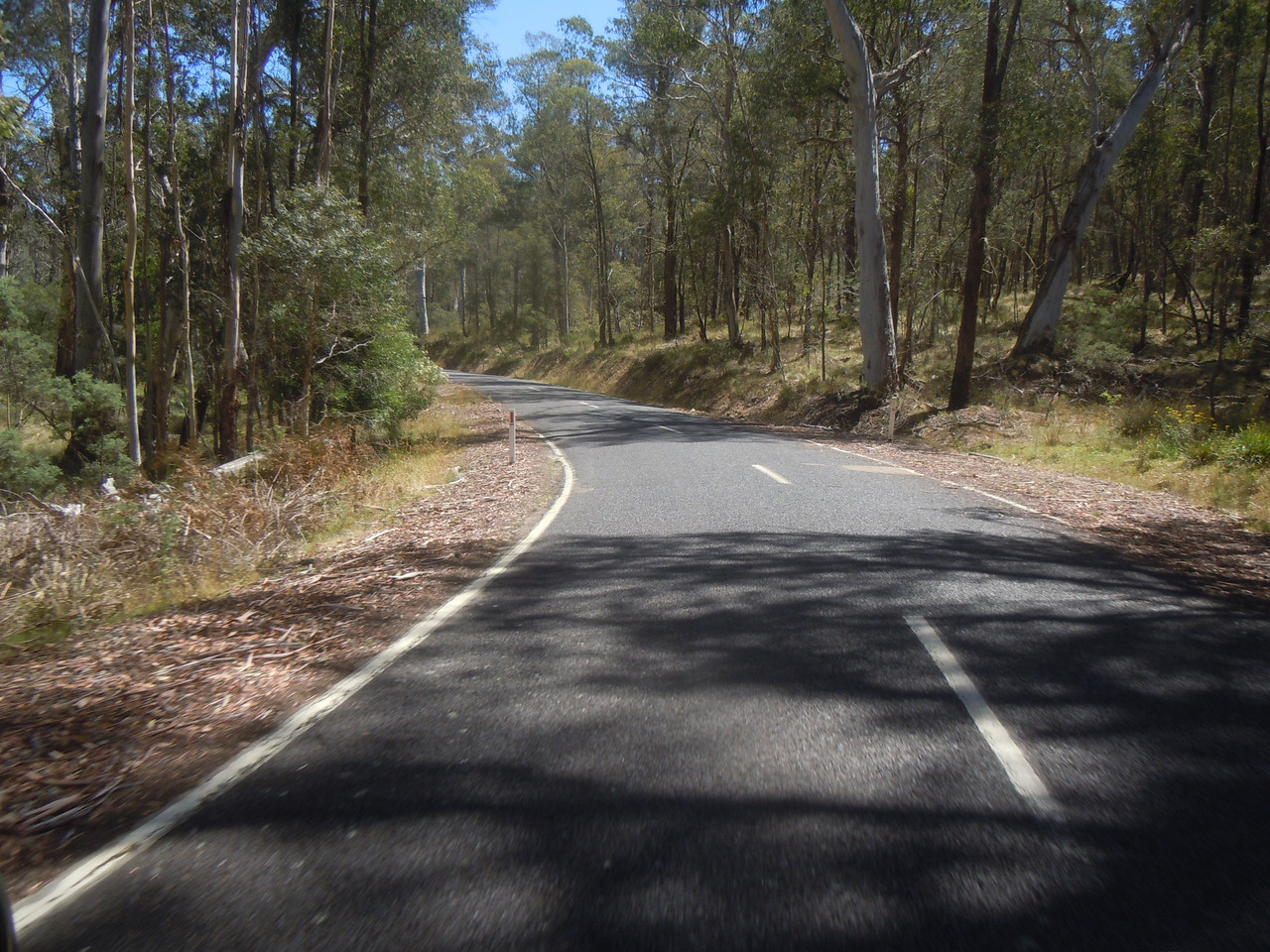DSCN4023.jpg